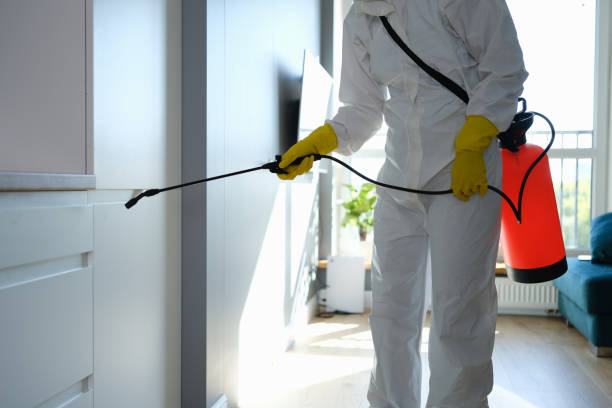 Best Mold Testing and Inspection Services in Morrow, OH