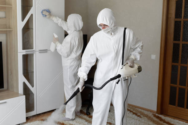 Best White Mold Remediation in Morrow, OH